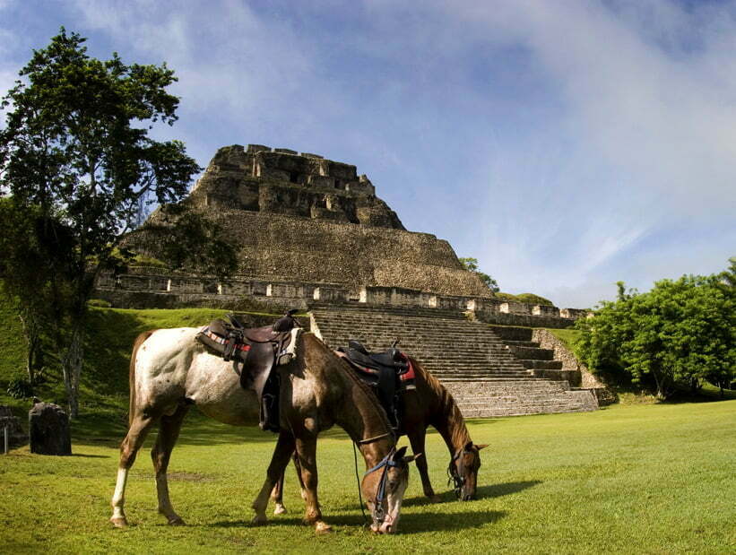 cayo horseback riding