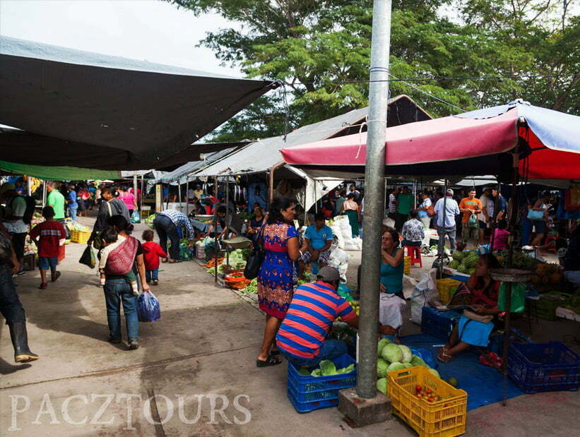 san ignacio farmer market